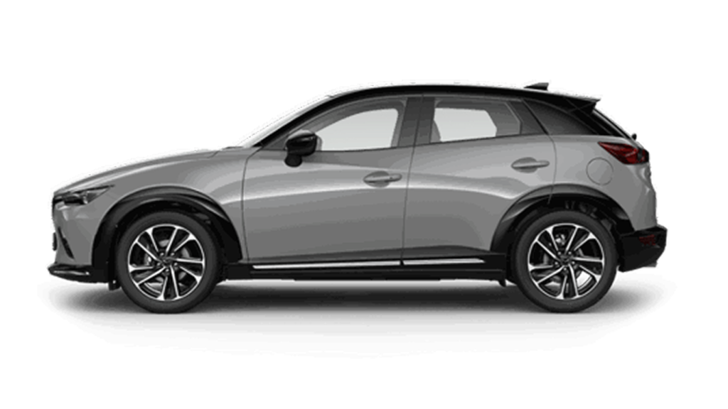 cx31