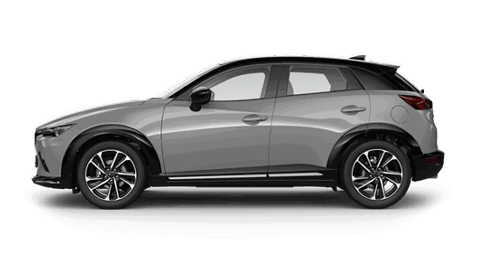 cx31